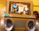 Uskoro ćemo moći streamati četiri nove Bluey serije