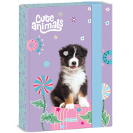 Ars Una: Cute animals - Aussie kutija za bilježnice s motivom pasa A/5
