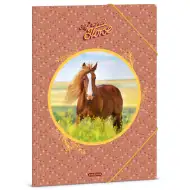 Ars Una: My Sweet Horse mapa s gumicom A/4