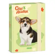 Ars Una: Welsh Corgi buldog A/5 kutija za bilježnice