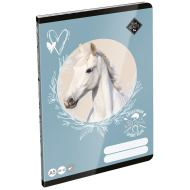 ICO: LizzySuli Wild Beauty Sport Club bilježnica bez linija A/5 20-32