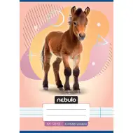 Nebulo: Bilježnica s uzorkom konja za 4. razred, A/5, 21-32