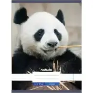 Nebulo: Panda obična bilježnica A4 80-32