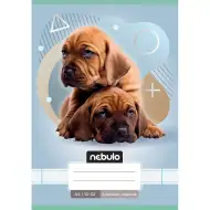 Nebulo: Uvezena bilježnica za 3. razred, A5, 12-32, s linijama - Sa psima