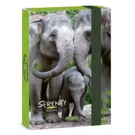 Ars Una: Mapa za bilježnice Serenity Elephant A5