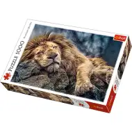 Lav koji spava puzzle - 1000 kom - Trefl