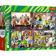 Zabavne životinje puzzle 4x250 komada - Trefl