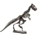 Arheološki set s dinosaurima, razne vrste, 1 komad
