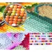 Dijamantna slagalica: Set za dijamantno slikanje ruže 10x15cm