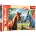 Konji na livadi, puzzle od 200 dijelova - Trefl