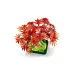 LEGO® Botanicals: Bonsai japanskog javora s crvenim lišćem (10348)