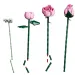 LEGO® Botanicals: Buket ružičastih ruža (10374)