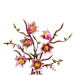 LEGO® Botanicals: Grane magnolije (11510)