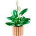 LEGO® Botanicals: Mirni ljiljan (11504)