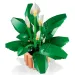 LEGO® Botanicals: Mirni ljiljan (11504)