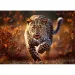 Leopard Premium Plus 1000-dijelna slagalica - Trefl