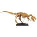 Luna: Divovski T-Rex arheološki set 40 cm