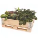 PlayBox: Drvena paleta kutija 18x28x8,65 cm