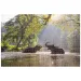 Animal Planet: Slonovi u jezeru 1000 kom puzzle