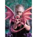 Anne Stokes: Dragonkin 1000 kom puzzle - Clementoni