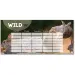 Ars Una: The Eye of the Wild dvostrani raspored sa uzorkom zeca