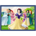 Disney Princeze - 4 u 1 puzzle 4 x 88 komada - Trefl