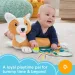 Fischer-Price: Corgie Puppy Rasti sa mnom sa jastukom, zvečkom i ogledalom - Mattel