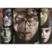 Harry Potter i Gospodar tame u kovčegu od 1000 komada puzzle - Clementoni