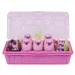 Hatchimals Rainbow Cation Family Carton Vukov obiteljski paket - Spin Master