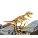 I'M Genius: Arheološki komplet dinosaura Tyrannosaurus Rex s alatima
