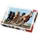 Konji puzzle - 1000 kom - Trefl