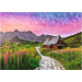 Put prema vrhovima Tatra – puzzle od 500 dijelova – Trefl