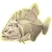 Science &amp; Play: Fluorescentni arheološki komplet Piranha - Clementoni