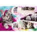 Slatke mace puzzle 160kom - Trefl