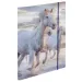Spirit: Ergonomska školska torba Cool Magical Horse za jahanje, set ruksaka od 4 komada