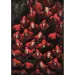 Velika pljačka novca: Lopovi ili taoci? Puzzle 1000kom - Clementoni