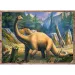 Zanimljivi dinosauri 4 u 1 puzzle - Trefl